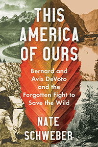 Book cover: This America of Ours by Nate Schweber