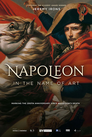 Napoleon: In the Name of Art poster