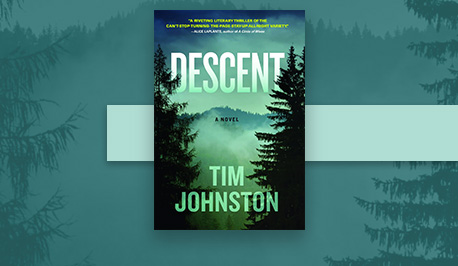 Descent By Tim Johnston